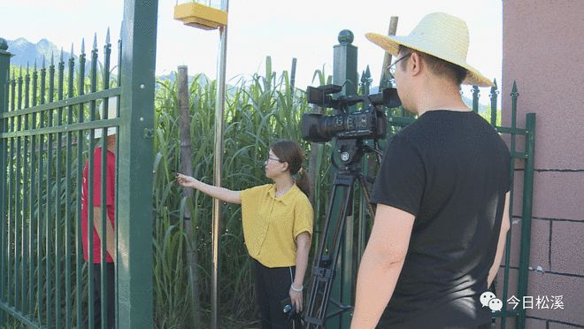 《鄉(xiāng)約科普》走進松溪 科技與鄉(xiāng)村的美麗相遇