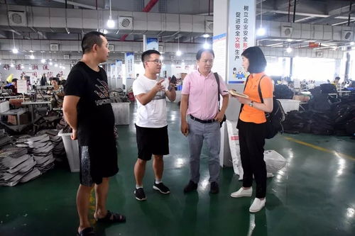 江蘇臺攝制組聚焦大龍，專題片攝制展現獨特風采