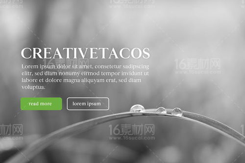 Modern Minimalism Meets Timeless Elegance: The Maiah Serif Font Family Pack for Digital Advertising